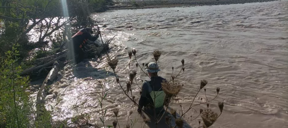 Hallan sin vida a un pescados