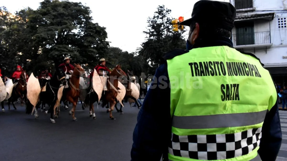 tránsito gauchos