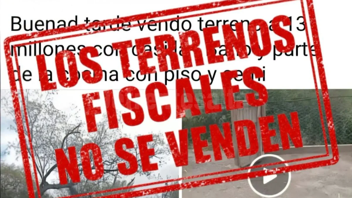 web nueva 1200 x 675 (1)