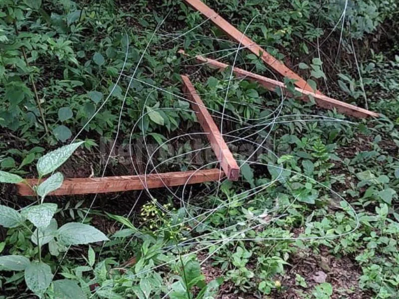 web 800 x 600_20260120_201126_0000