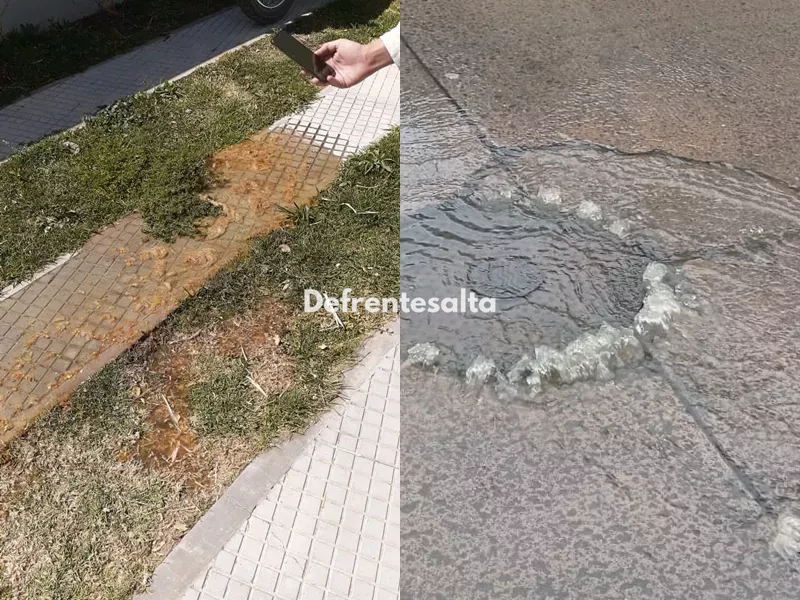 cloacas profesionales