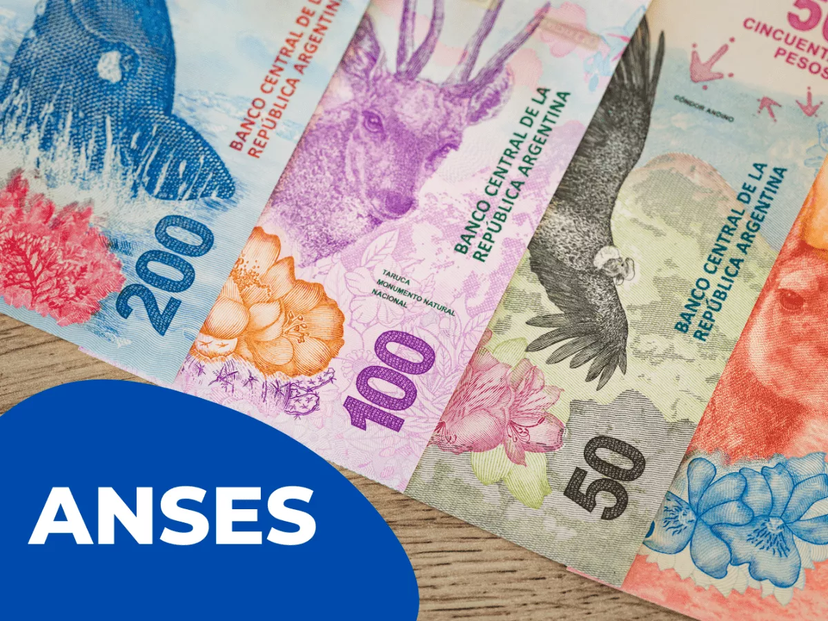 anses_8.png_1926297115