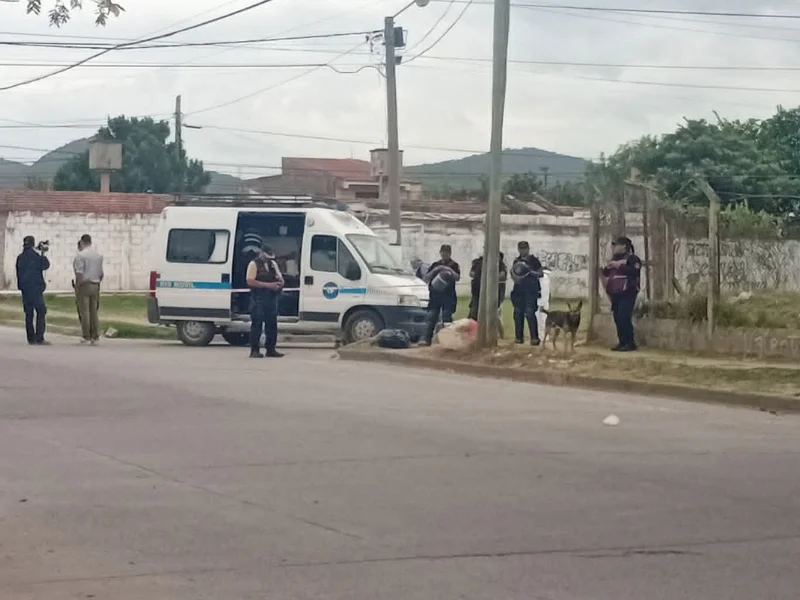 web 800 x 600_20260206_090720_0000