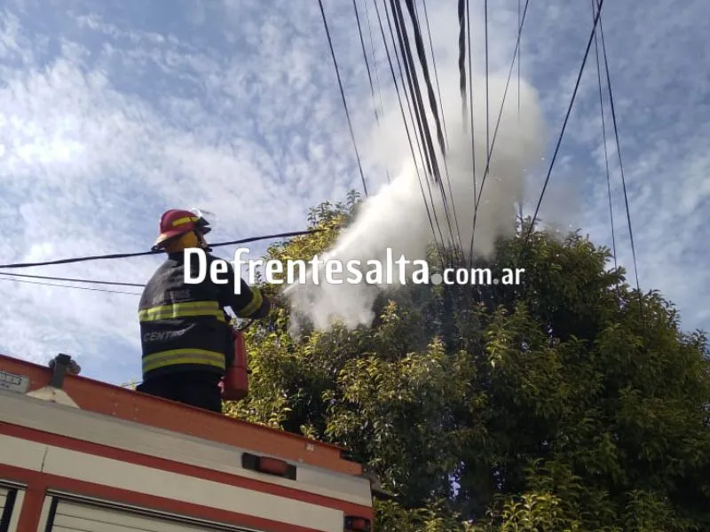 Bomberos trabajan sofocando el incendio de los cables de EDESA.