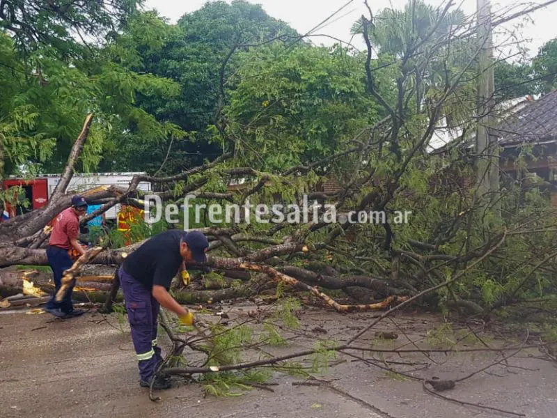 Bomberos trabajando para despejar la calzada  afectada en Orán