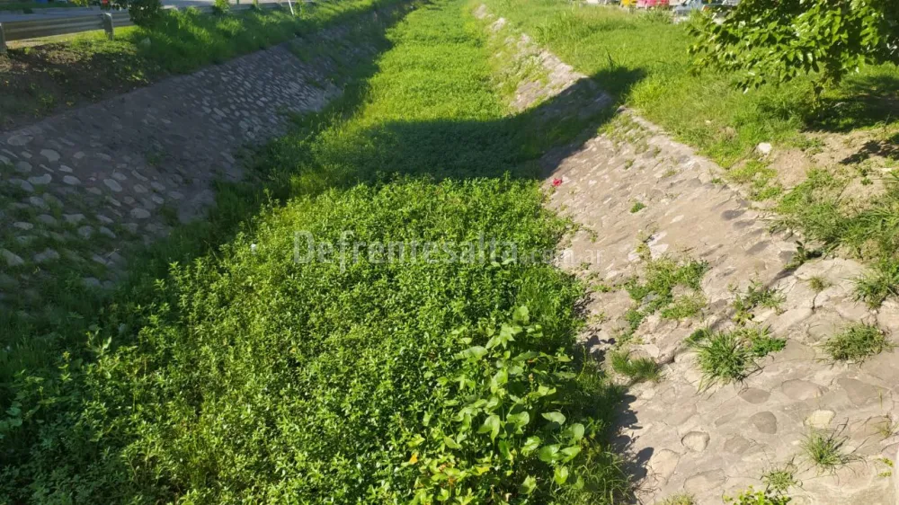 Canal tapado de malezas