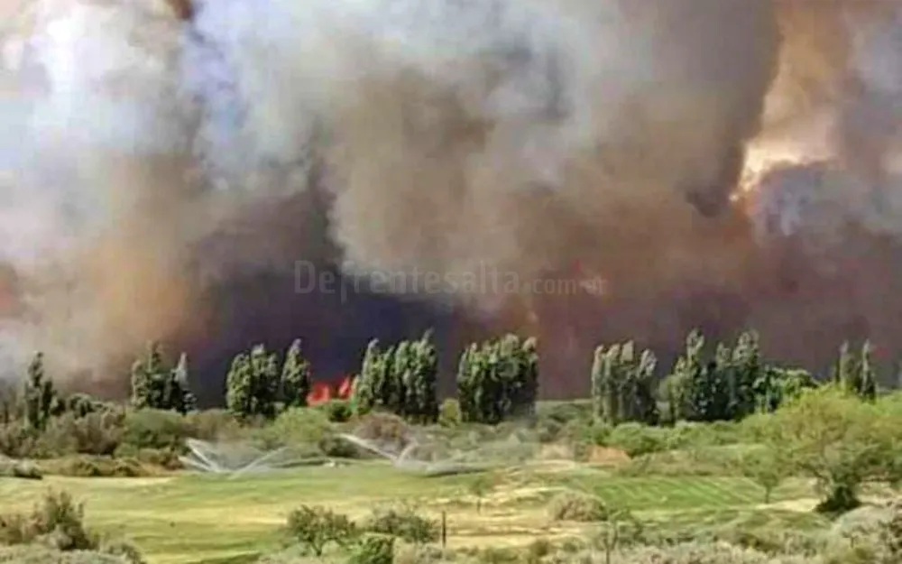 Incendio en Cafayate