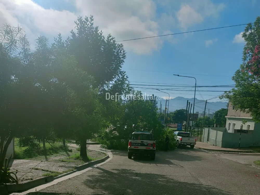 Árbol caído en avenida Entre Ríos. Foto: Martín Velázquez.