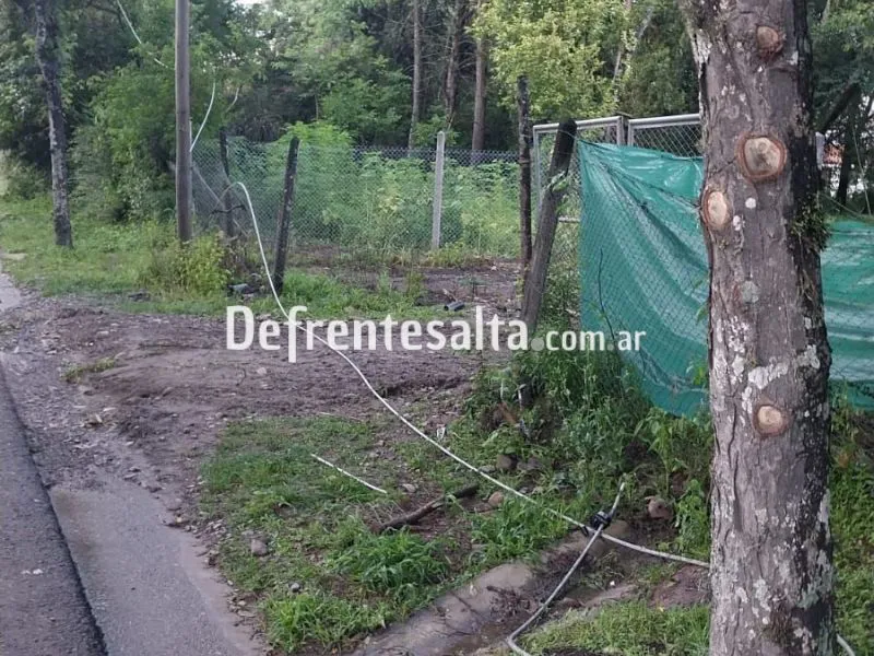 EDESA: cortes de luz por postes caídos. 