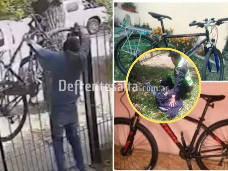 web 800 x 600_20250129_122241_0000