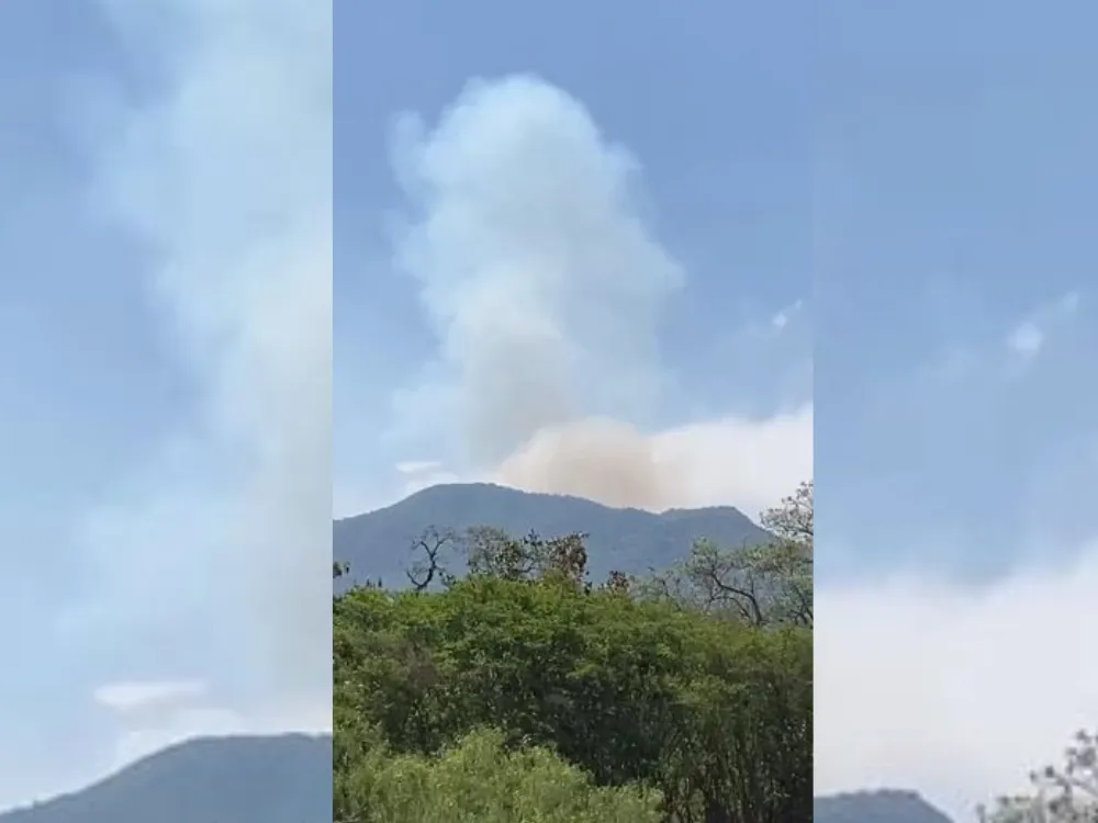 Incendio en Leeser. Crédito: Notisanti.