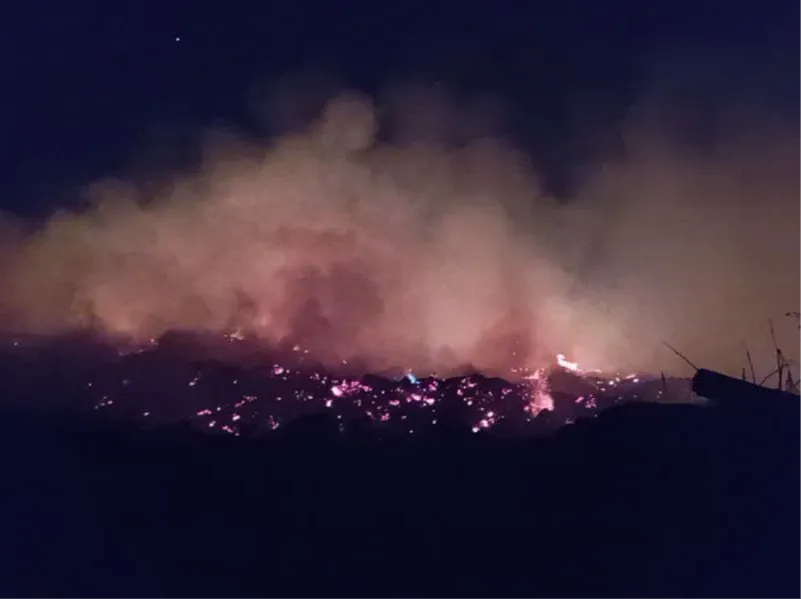 Incendio en planta de Chipeo de San Lorenzo.