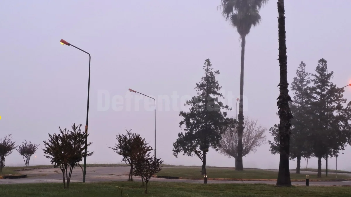 Neblina