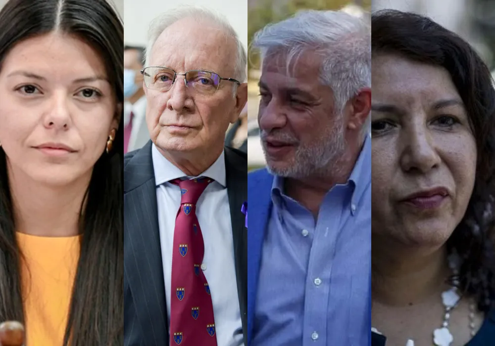 Diputados nacionales electos