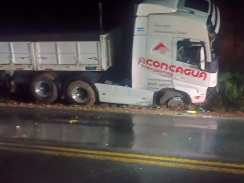 Desbarrancó un camión en La Viña.