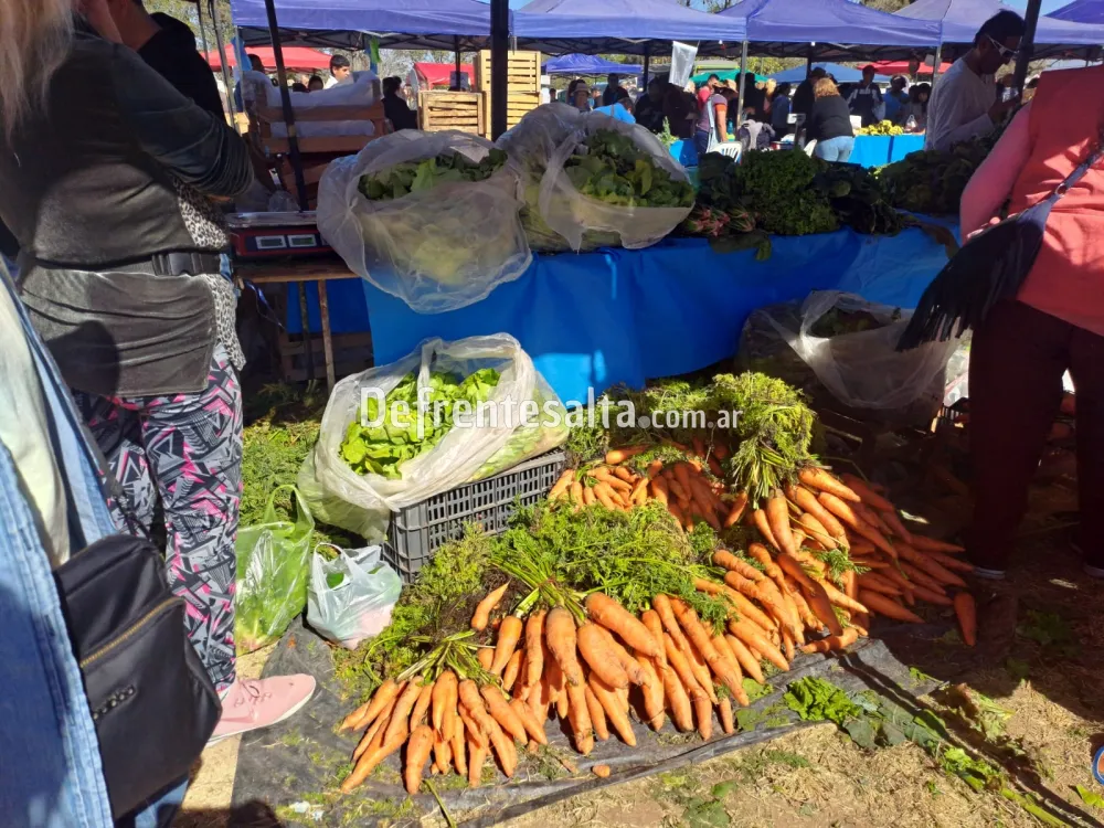 Mercado en tu Barrio