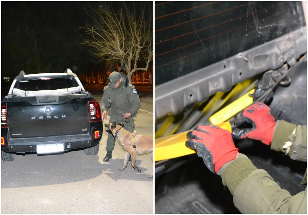 Cocaína Salta- San Juan