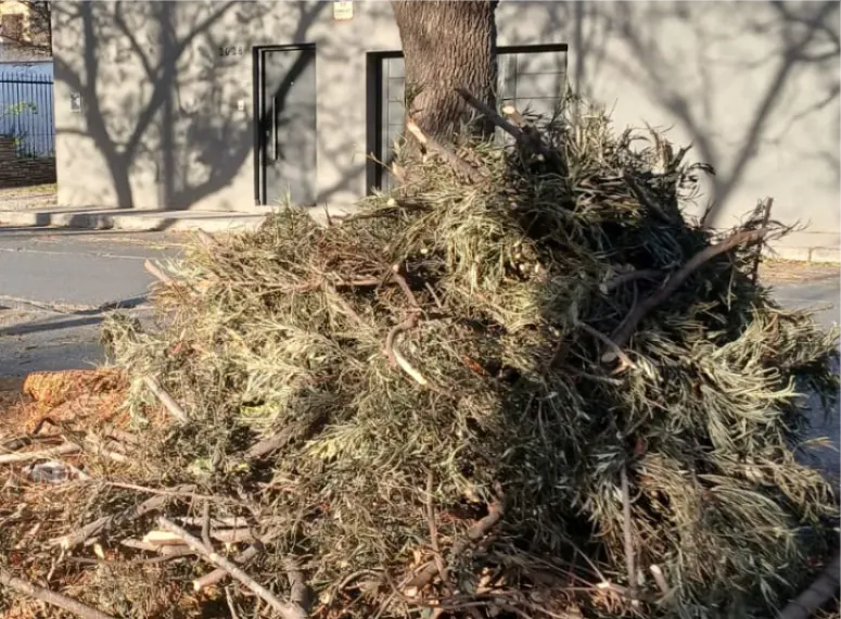 Restos de poda en Pachi Gorriti.