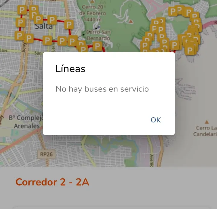 App de SAETA caída