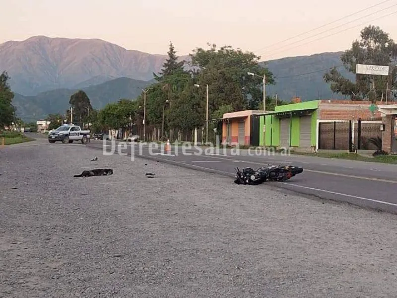 web 800 x 600_20241115_074534_0000