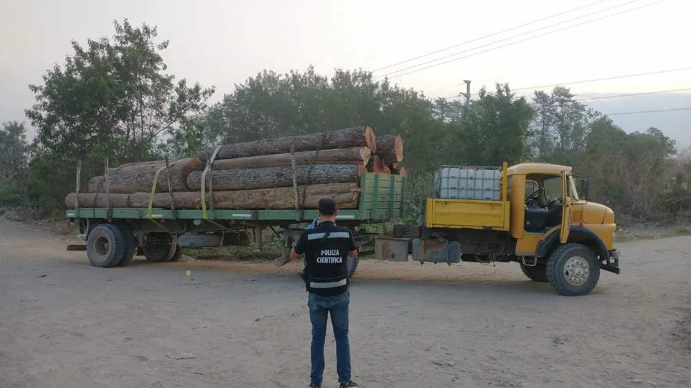 Detención camioneto