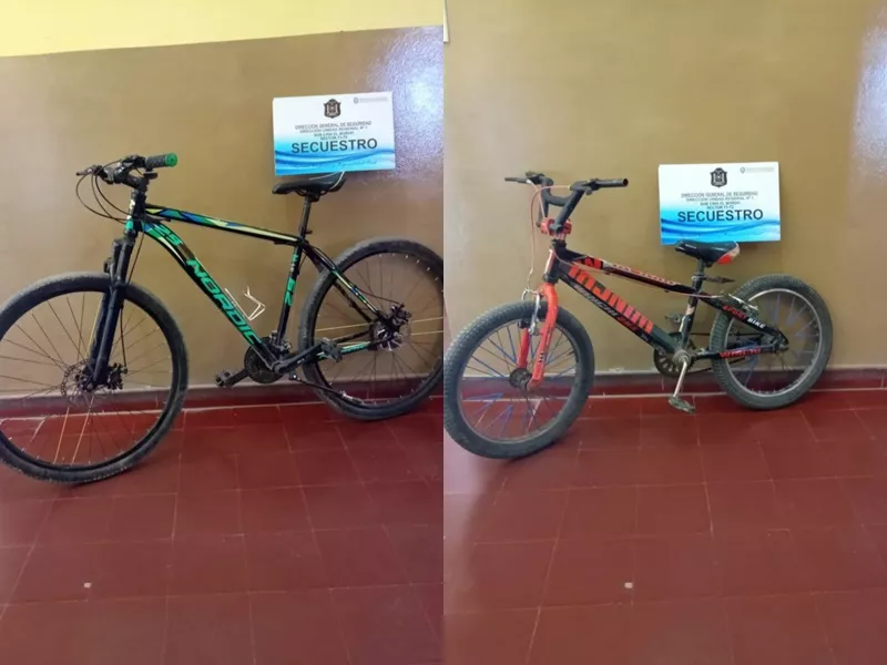 Rodados