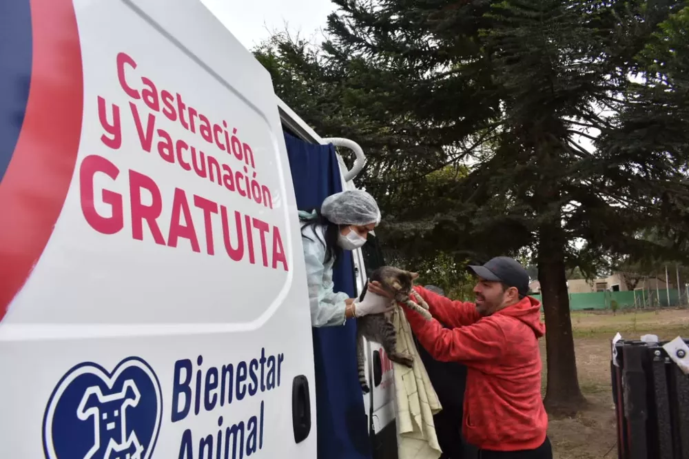 movil-quirurgico