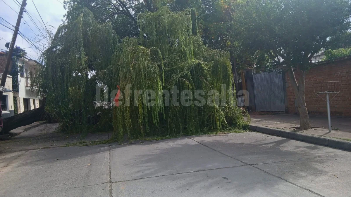 Web 1200 x 675_20260320_113052_0000