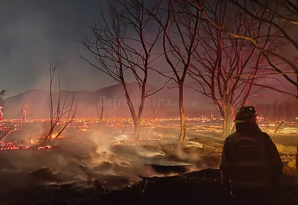 Incendio en Cafayate