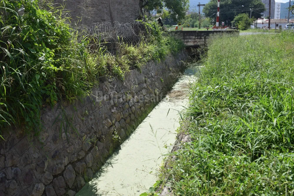 Canal dengue 1
