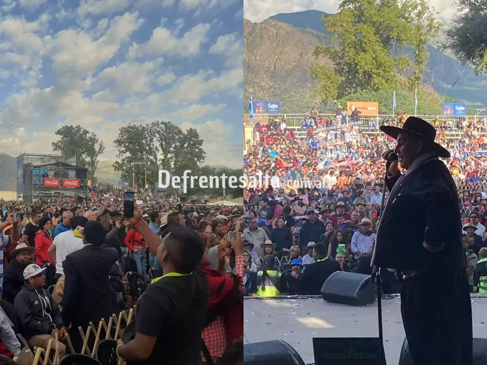 Chaqueño palavecino