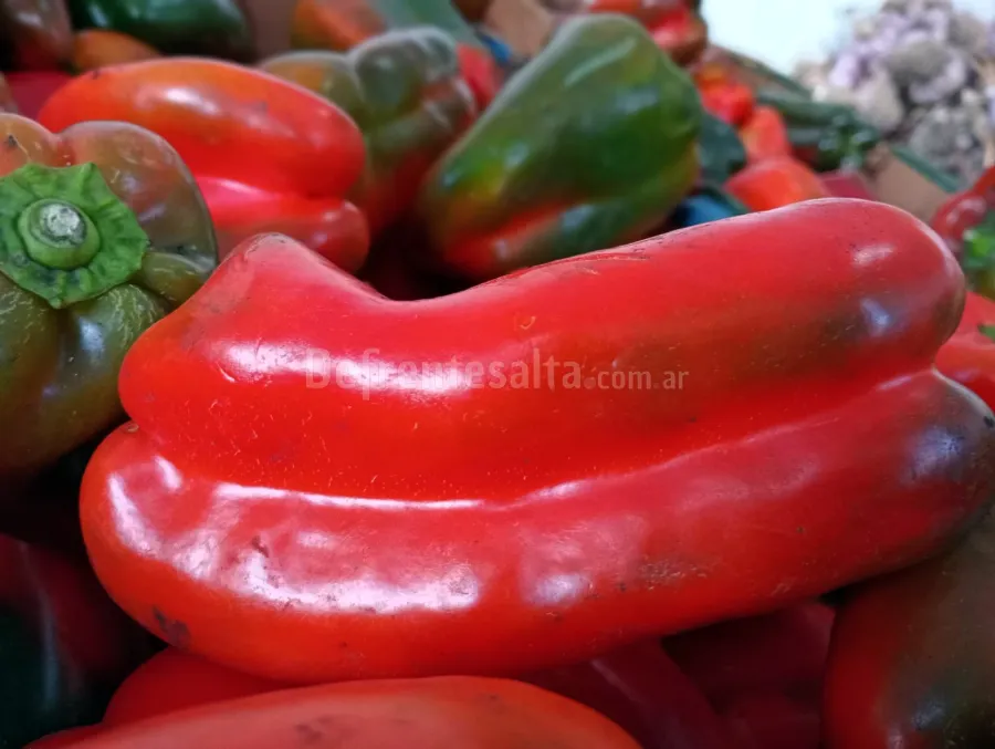 Pimiento Rojo