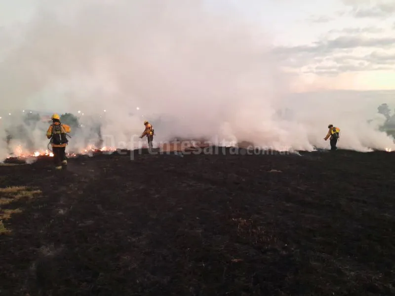 Incendio en Los Protesionales. 
