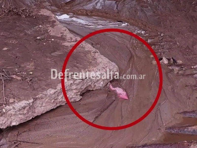 El artefacto explosivo hallado.