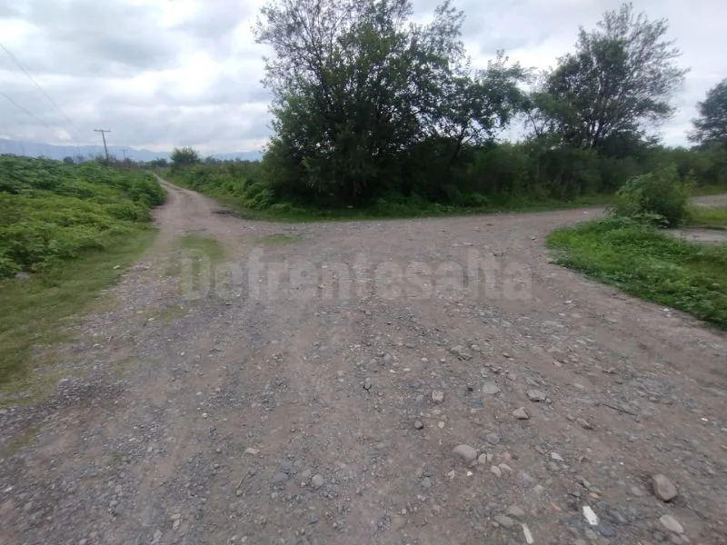 Inseguridad en el loteo FEPUSA. 