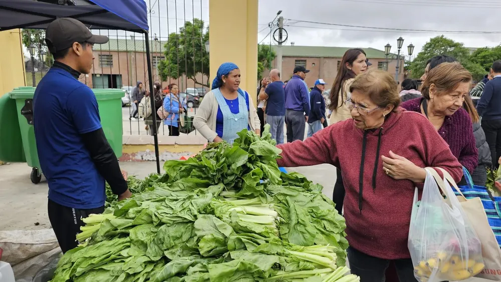 mercado