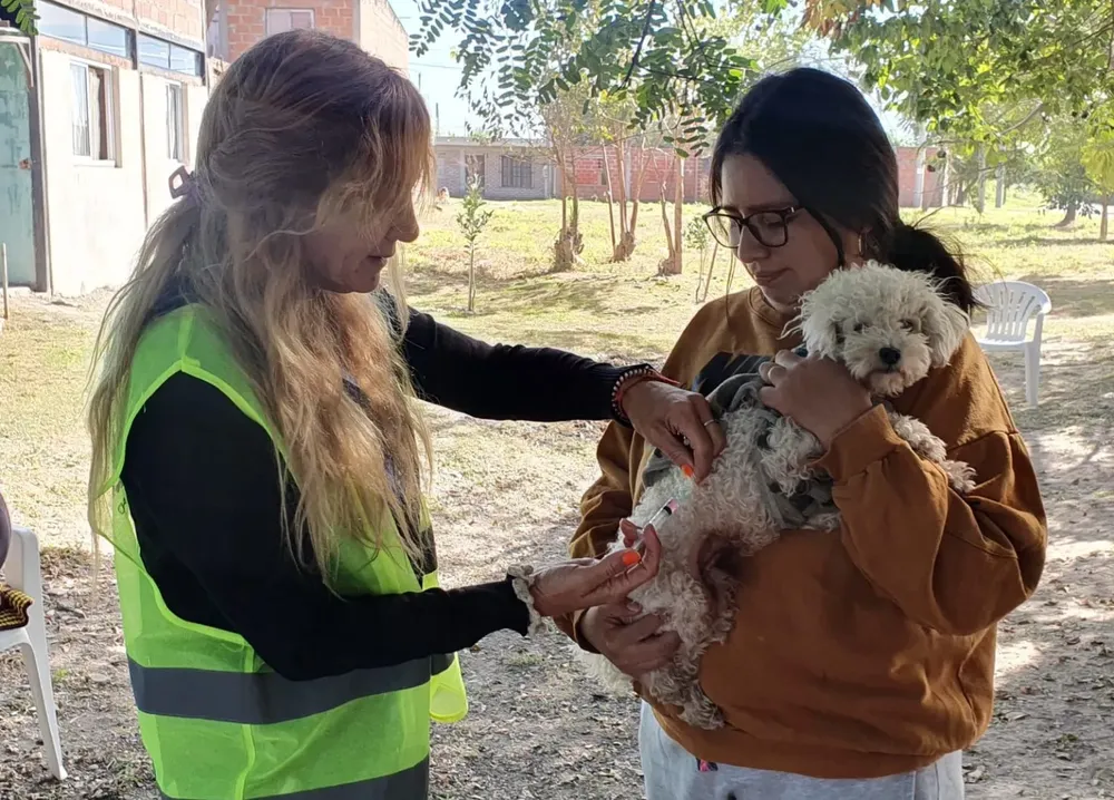 Vacunacion antirrábica