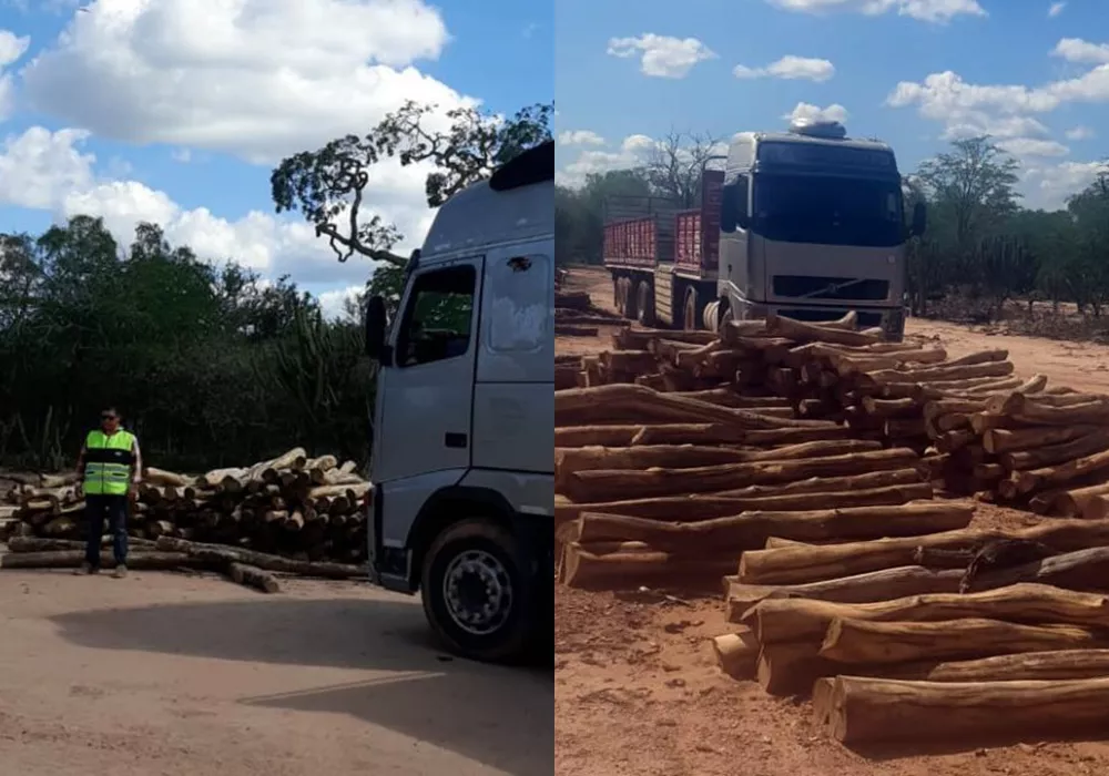 Secuestro Palo Santo