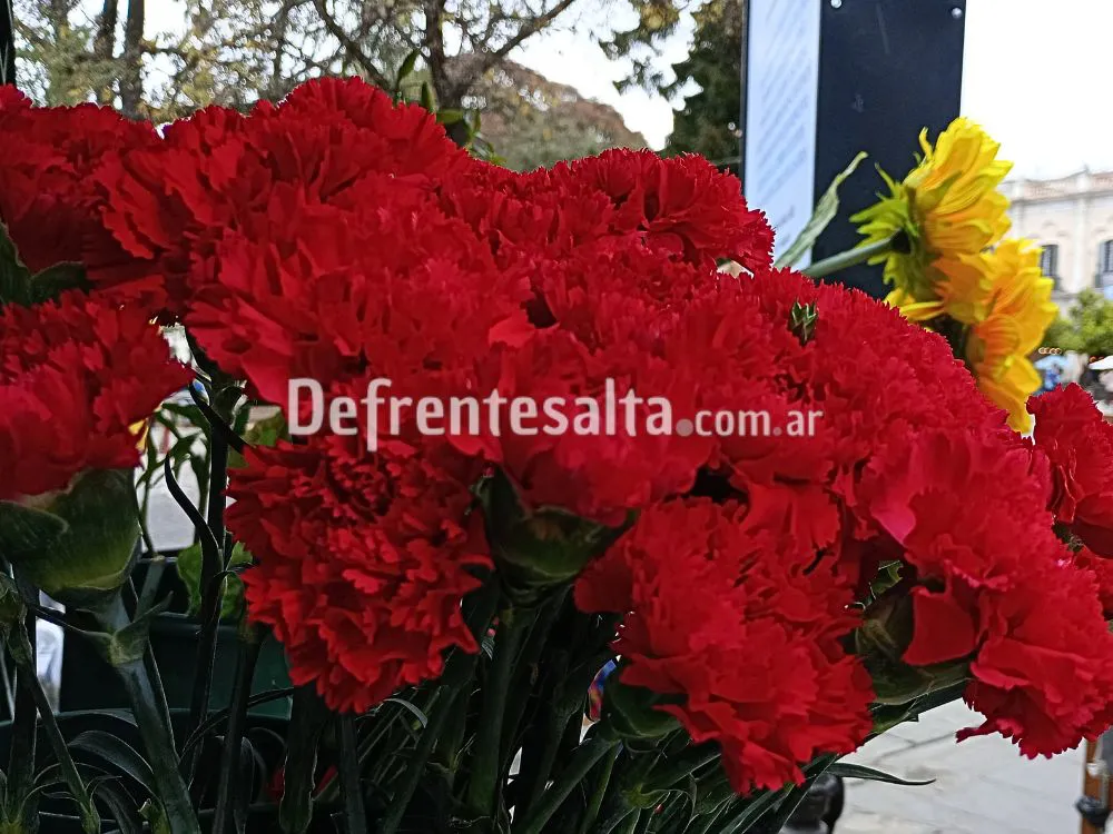 Claveles del Milagro. Foto: Sol Salas.