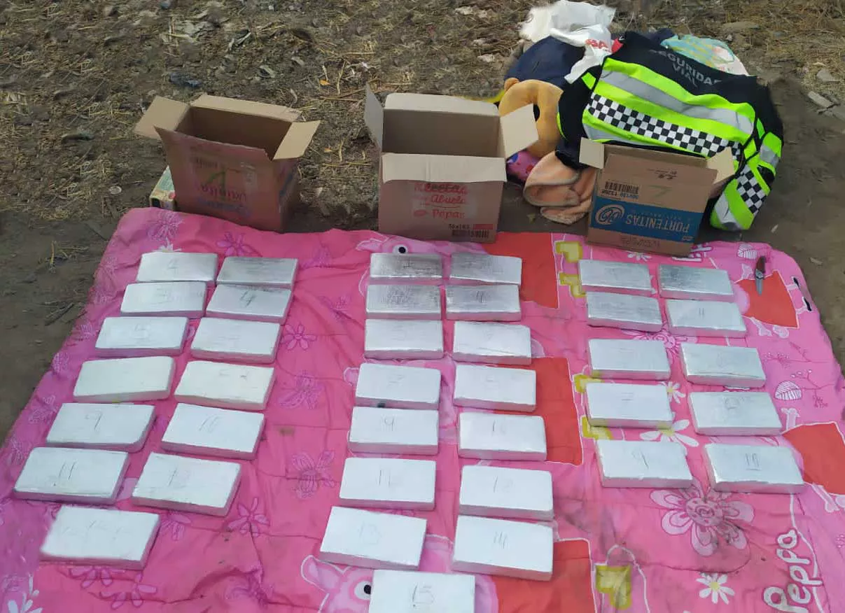 Secuestro cocaína