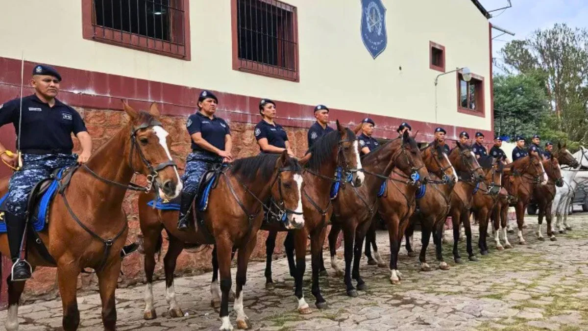 Caballos de la Policía de Salta listos para la exposición en la Sociedad Rural.
