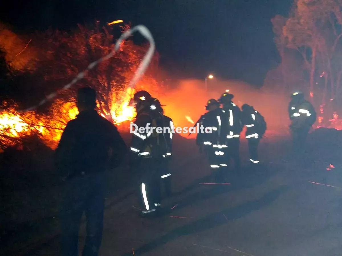 Bomberos combatiendo el fuego