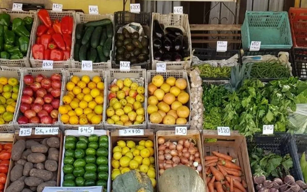 Frutas y verduras