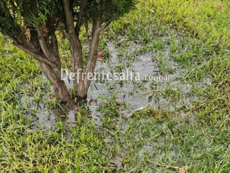 Pérdida de agua en Tres Cerritos.
