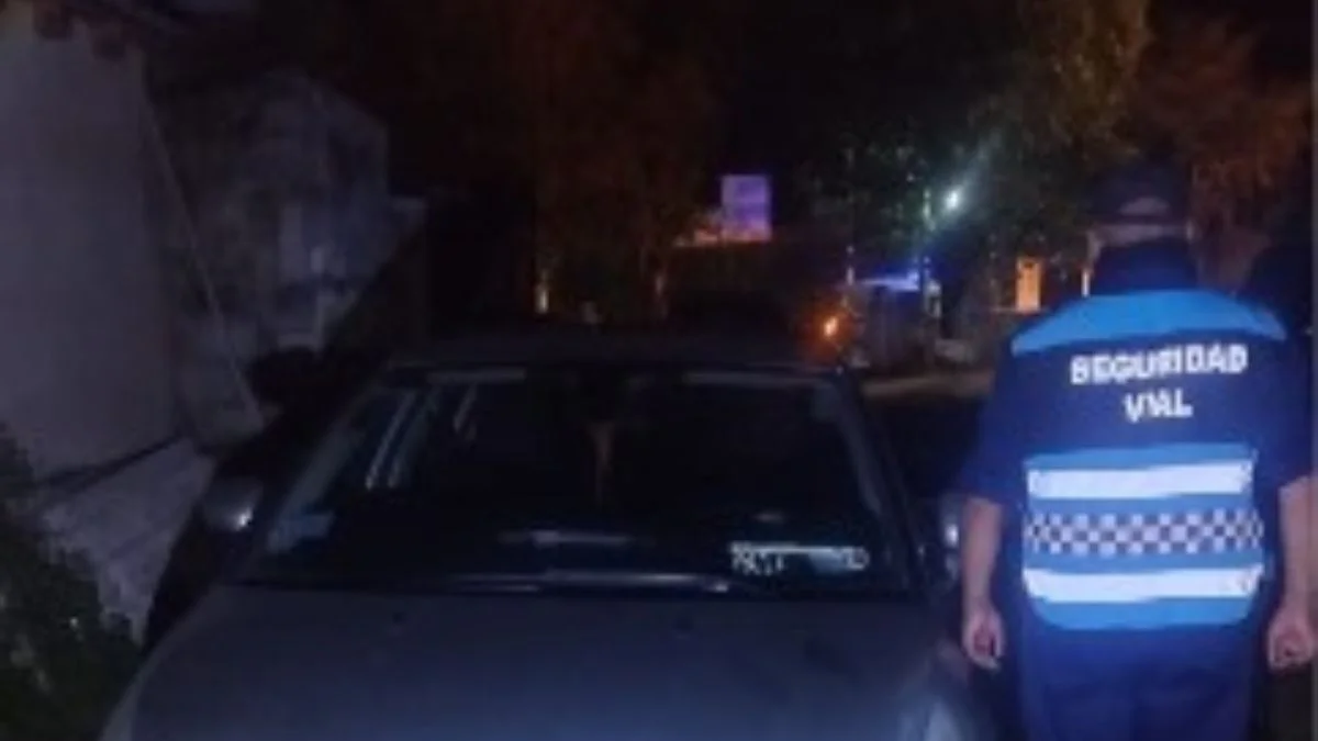 Los vehículos secuestrados.