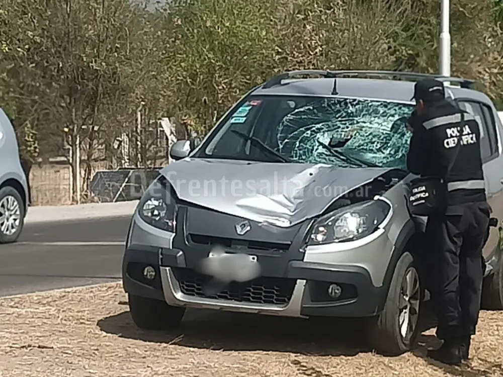 El auto que embistió al peatón. 
