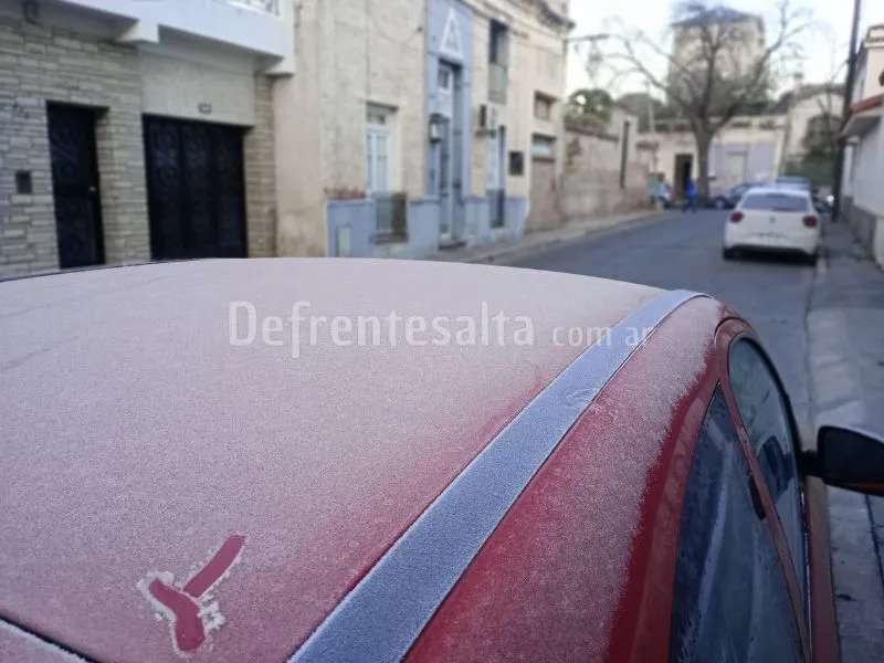 Cayó una tremanda helada en Salta.
