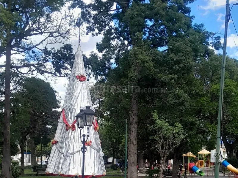 web 800 x 600_20251209_095545_0002