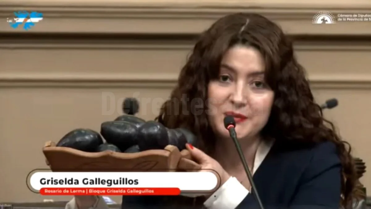 La diputada Griselda Galleguillos realizando un homenaje a las paltas durante la sesión en Salta.