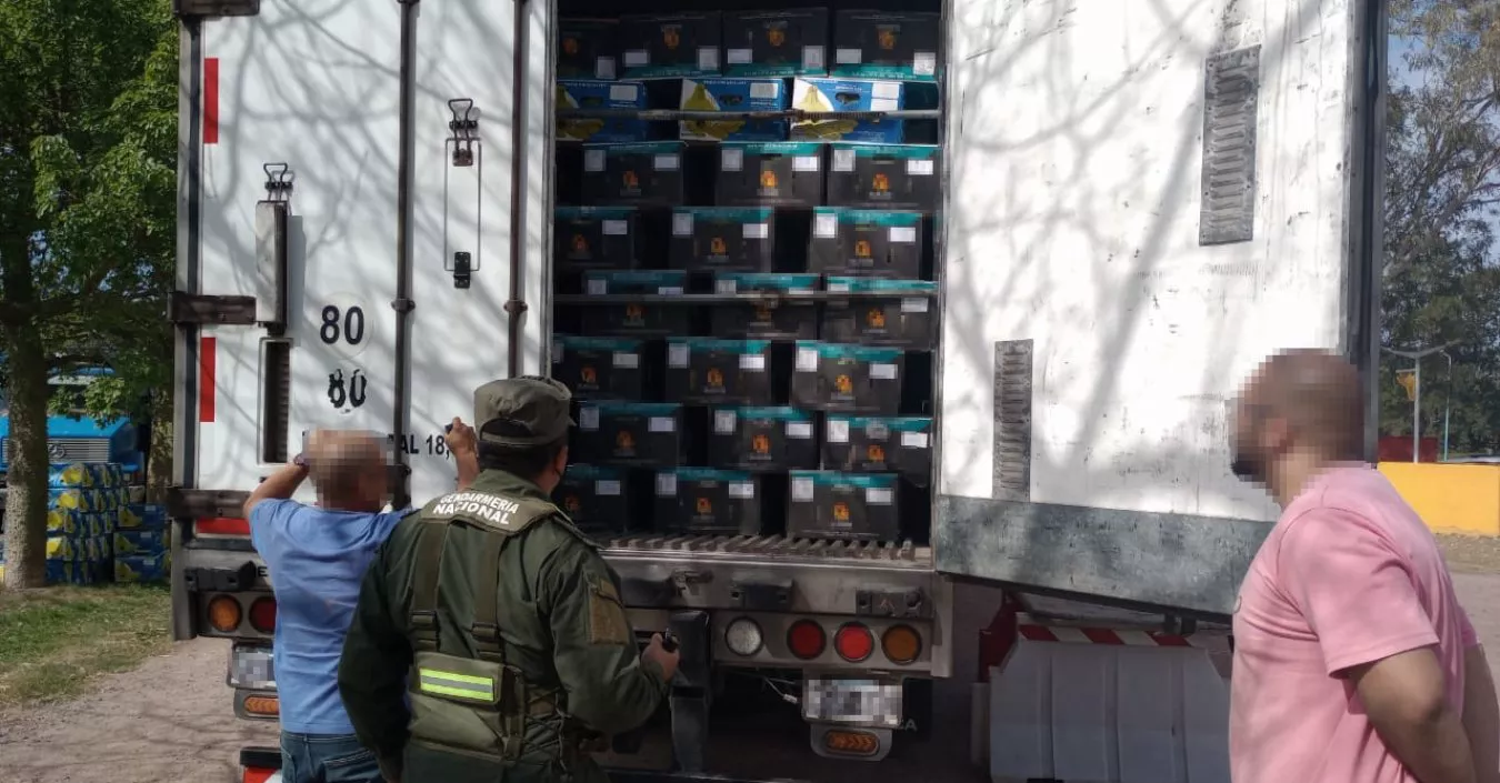 Secuestro hojas de coca